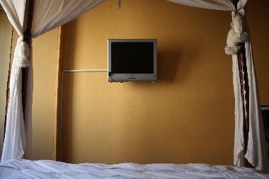 Holiday Apartment in Rome (Roma) or holiday homes and vacation rentals