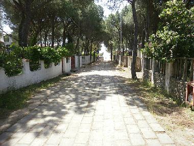 Holiday House in Santa Margherita di Pula (Cagliari) or holiday homes and vacation rentals