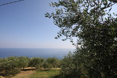 Holiday Apartment in Cipressa (IM) (Imperia) or holiday homes and vacation rentals