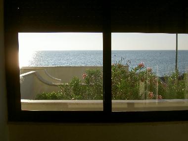Holiday Apartment in gallipoli (Lecce) or holiday homes and vacation rentals