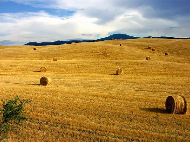 Holiday Apartment in Bagni San Filippo (Siena) or holiday homes and vacation rentals