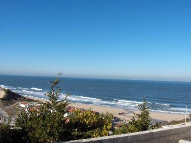 Holiday Apartment in Paredes/pataias (Pinhal Litoral) or holiday homes and vacation rentals