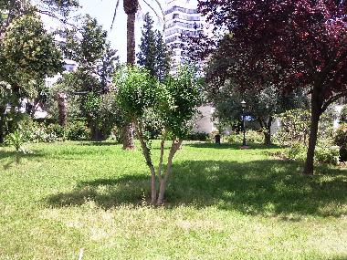 Holiday Apartment in Arroyo de la Miel (Mlaga) or holiday homes and vacation rentals