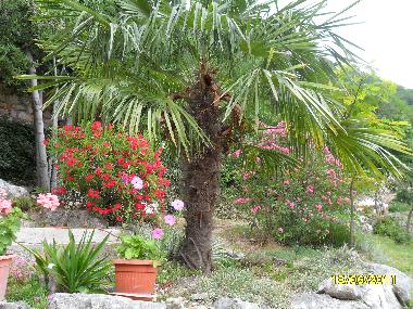 Holiday Apartment in Bribir (Primorsko-Goranska) or holiday homes and vacation rentals