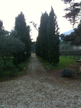 Holiday House in lucca (Lucca) or holiday homes and vacation rentals