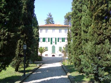 Holiday House in lucca (Lucca) or holiday homes and vacation rentals