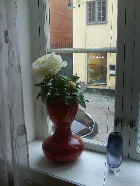 View from window