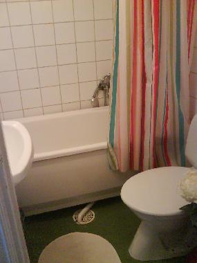 bathroom with shower, tub and wc
