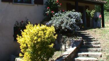 Villa in coudons (Aude) or holiday homes and vacation rentals