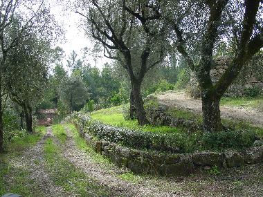 Holiday Apartment in Torredeita (Do-Lafes) or holiday homes and vacation rentals