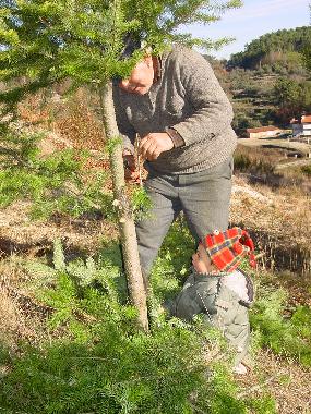 Holiday Apartment in Torredeita (Do-Lafes) or holiday homes and vacation rentals