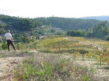 Holiday Apartment in Torredeita (Do-Lafes) or holiday homes and vacation rentals