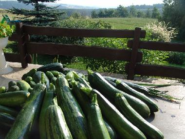 Holiday Apartment in Ostrzyce  (Pomorskie) or holiday homes and vacation rentals