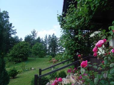 Holiday Apartment in Ostrzyce  (Pomorskie) or holiday homes and vacation rentals