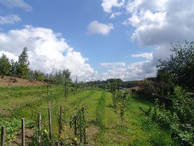 Holiday Apartment in Ostrzyce  (Pomorskie) or holiday homes and vacation rentals