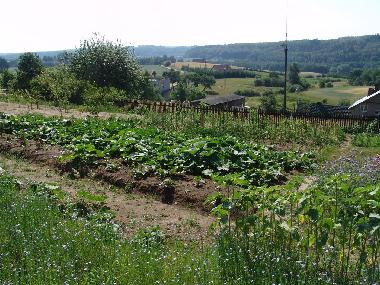 Holiday Apartment in Ostrzyce  (Pomorskie) or holiday homes and vacation rentals