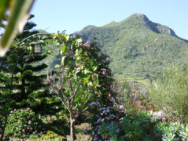 Holiday House in El Pico Bermejo - Tejina (Teneriffa) or holiday homes and vacation rentals