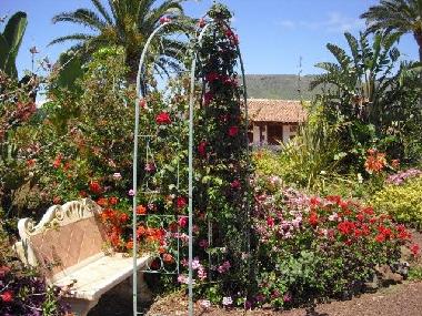 Holiday House in El Pico Bermejo - Tejina (Teneriffa) or holiday homes and vacation rentals