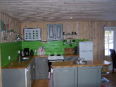 Holiday House in Vr�dal (Telemark) or holiday homes and vacation rentals