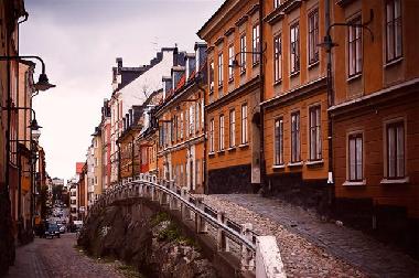 The neighborhood