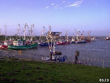 Holiday Apartment in Dornum-Westerbur (Nordsee-Festland / Ostfriesland) or holiday homes and vacation rentals