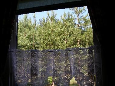 Holiday House in Kuru (Ida-Virumaa) or holiday homes and vacation rentals