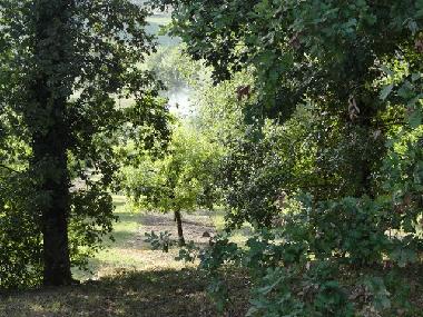 Holiday House in Pomport (Dordogne) or holiday homes and vacation rentals