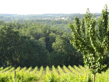 Holiday House in Pomport (Dordogne) or holiday homes and vacation rentals