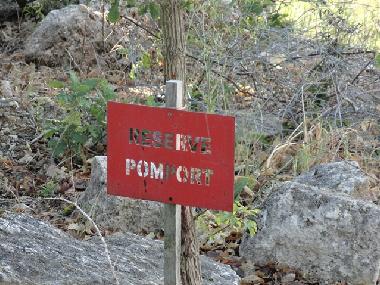 Holiday House in Pomport (Dordogne) or holiday homes and vacation rentals