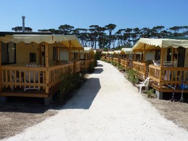 Caravan in Viareggio (Pisa) or holiday homes and vacation rentals