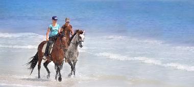 Holiday House in Midoun / Djerba (Madanin) or holiday homes and vacation rentals