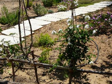 little spice garden on the way from Sea cabin to Wind cabin and to the 7 minutes walk to the beach