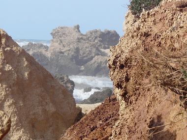 the Nature reserve 30 minutes walk from Mikhmoret Beach