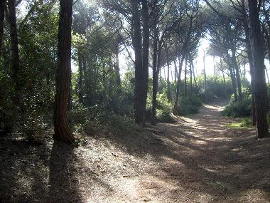 Holiday Apartment in Cecina (Livorno) or holiday homes and vacation rentals