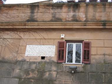 The front