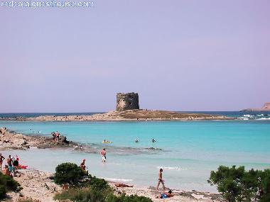 Holiday Apartment in orso (Sassari) or holiday homes and vacation rentals