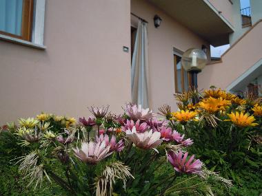 Holiday Apartment in corsanico-bargecchia (Lucca) or holiday homes and vacation rentals