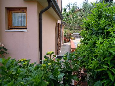 Holiday Apartment in corsanico-bargecchia (Lucca) or holiday homes and vacation rentals