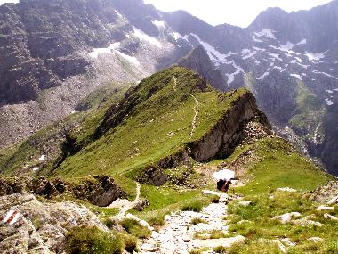 Cindrel Mountains (Sibiu, Transylvania, Romania)