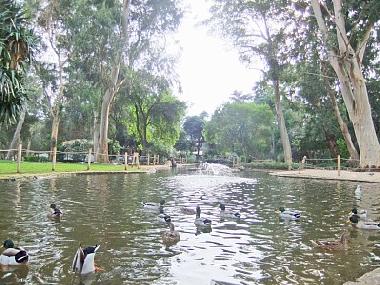Beautiful park within minutes of the flat