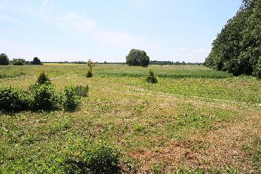 View from Kitchen window