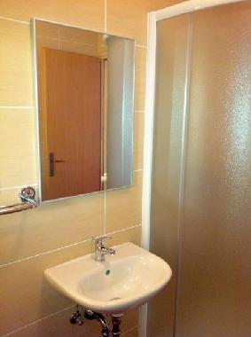 Bed and Breakfast in Novigrad (Istarska) or holiday homes and vacation rentals