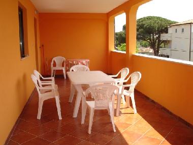 Bed and Breakfast in Novigrad (Istarska) or holiday homes and vacation rentals