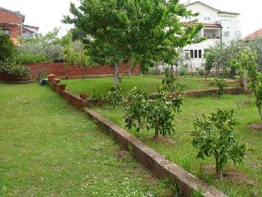 Bed and Breakfast in Novigrad (Istarska) or holiday homes and vacation rentals