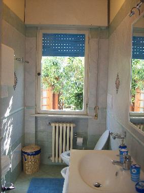 Holiday Apartment in Tirrenia (Pisa) or holiday homes and vacation rentals