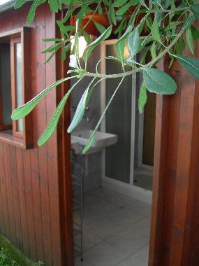 Holiday Apartment in Tirrenia (Pisa) or holiday homes and vacation rentals