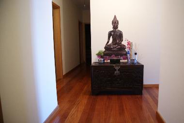 Holiday Apartment in Santa Cruz  (Madeira) or holiday homes and vacation rentals