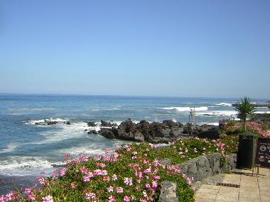 Holiday Apartment in Puerto de la Cruz  (Teneriffa) or holiday homes and vacation rentals