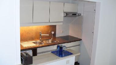 Holiday Apartment in GENT (Flanders) or holiday homes and vacation rentals