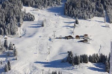 Holiday Apartment in Kleinarl (Pinzgau-Pongau) or holiday homes and vacation rentals